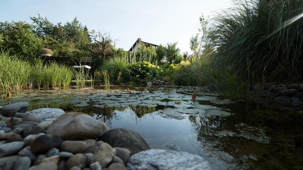 B&B Casa Scaletto Turgi Dış mekan fotoğraf